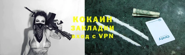 твердый Богданович
