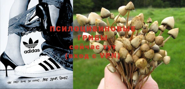 хмурый Бронницы