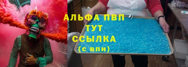 твердый Богданович